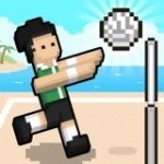 Картинка Volley Random